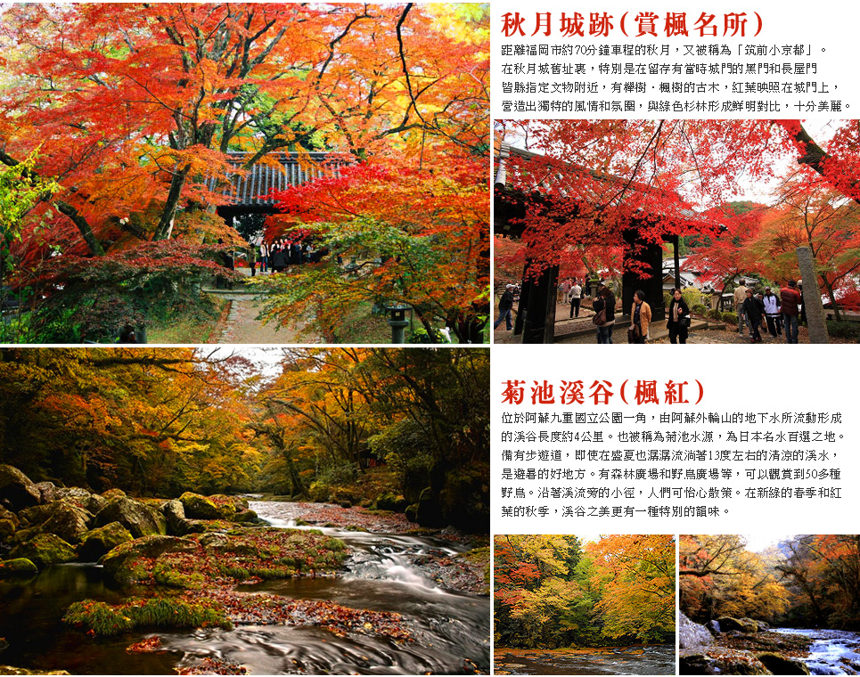 楓紅九州 賞楓秘境溫泉5日 御船山樂園 太原銀杏之森 耶馬溪 城市玩家旅遊