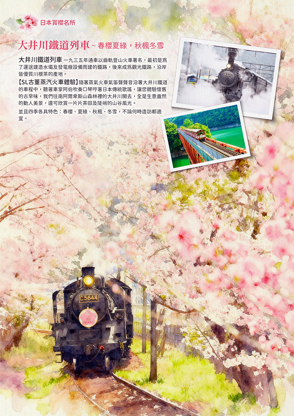 日本平纜車大井川鐵道列車、大室山、空中吊纜~‧駿河灣渡輪‧掛川花鳥園、和牛燒肉吃到飽+鰻魚飯套餐